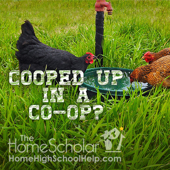 cooped-up-in-a-co-op-newsletter-articles-homescholar