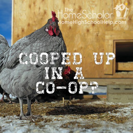 Cooped Up in a Coop? Newsletter Articles HomeScholar